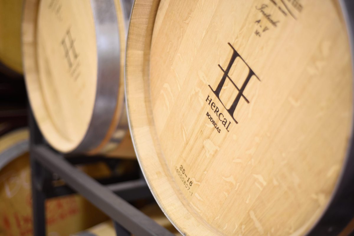Bodegas Hercal winery in Castilla y León — cellar and vineyards (photo 2)