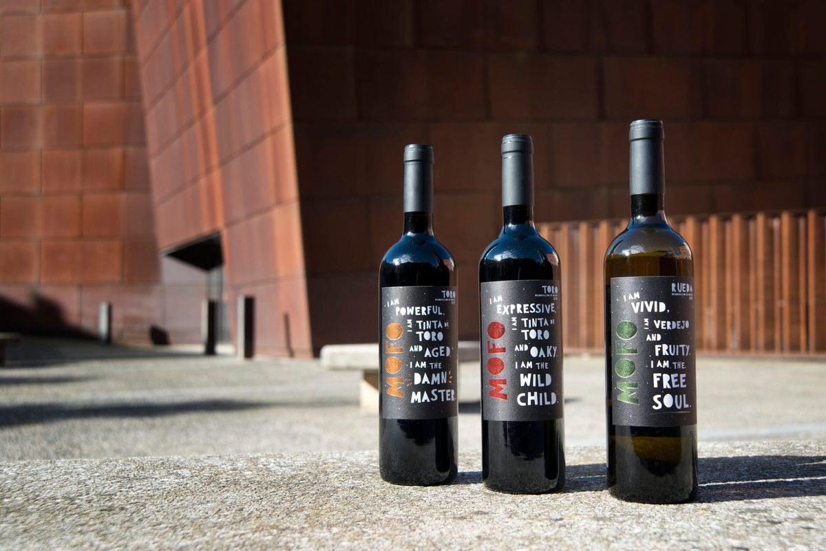 MOFO winery in Castilla y León — cellar and vineyards (photo 3)