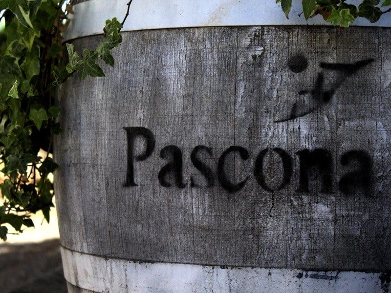 Celler Pascona winery in Cataluña — cellar and vineyards (photo 1)