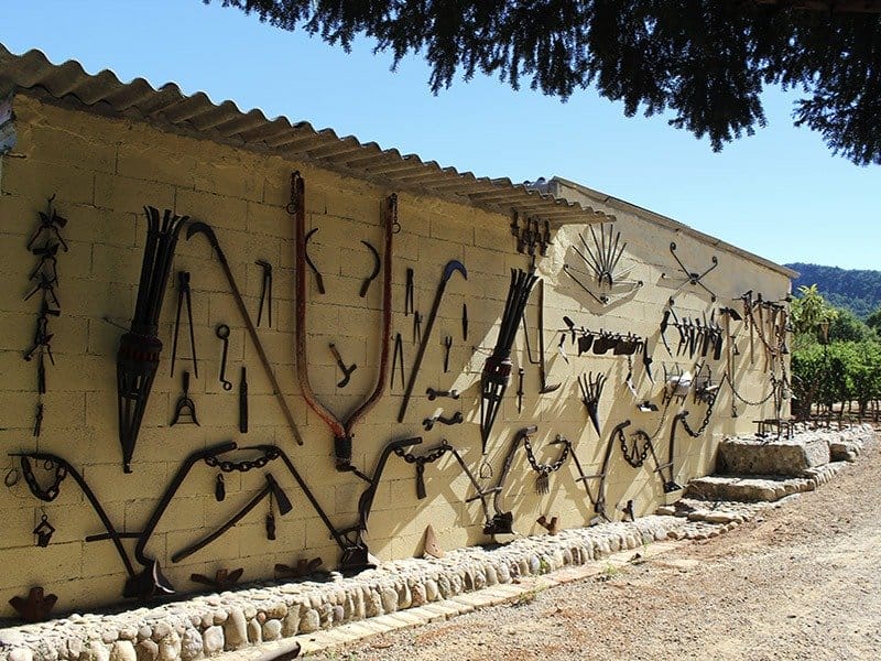 Celler Pascona winery in Cataluña — cellar and vineyards (photo 2)