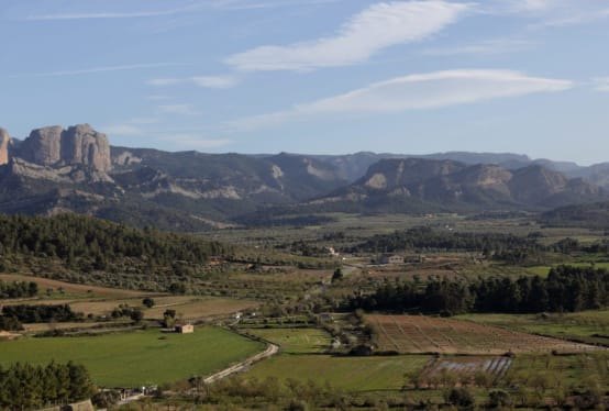 Celler La Botera winery in Cataluña — cellar and vineyards (photo 1)