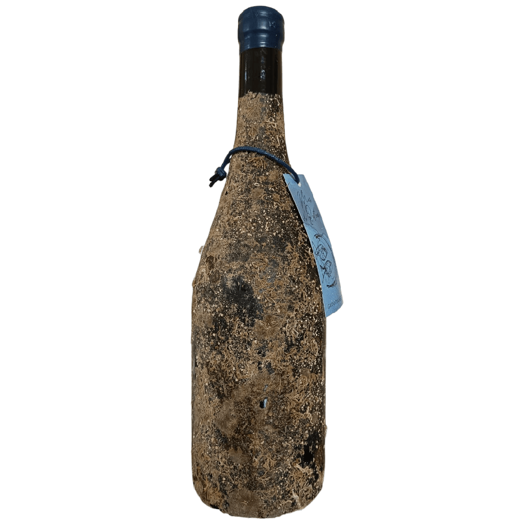 Mar de Batea - Negre, red, made from Garnacha Peluda, from Terra Alta DO