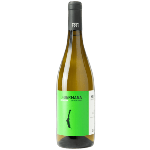 La Germana, white, made from Garnacha Blanca, Macabeo / Viura, Moscatel de Grano Menudo, from Montsant DO — additional photo