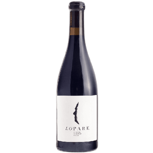 Lo Pare, red, made from Cabernet Sauvignon, from Montsant DO — additional photo
