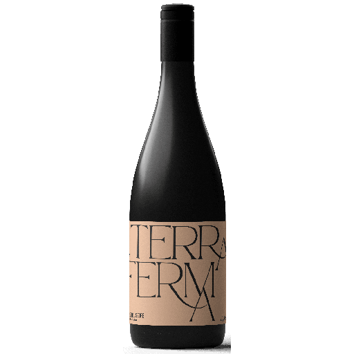 Terra Ferma Blanc, white, made from Chardonnay, Garnacha Blanca, Macabeo / Viura, from Costers del Segre DO — additional photo